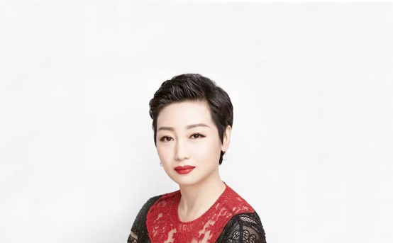 国美新零售转型,黄光裕和杜鹃各书一笔_CCTV