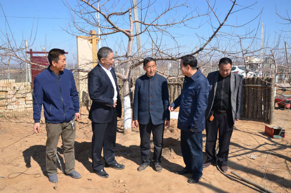 村企联合 梁家河苹果 红了_CCTV证券资讯频