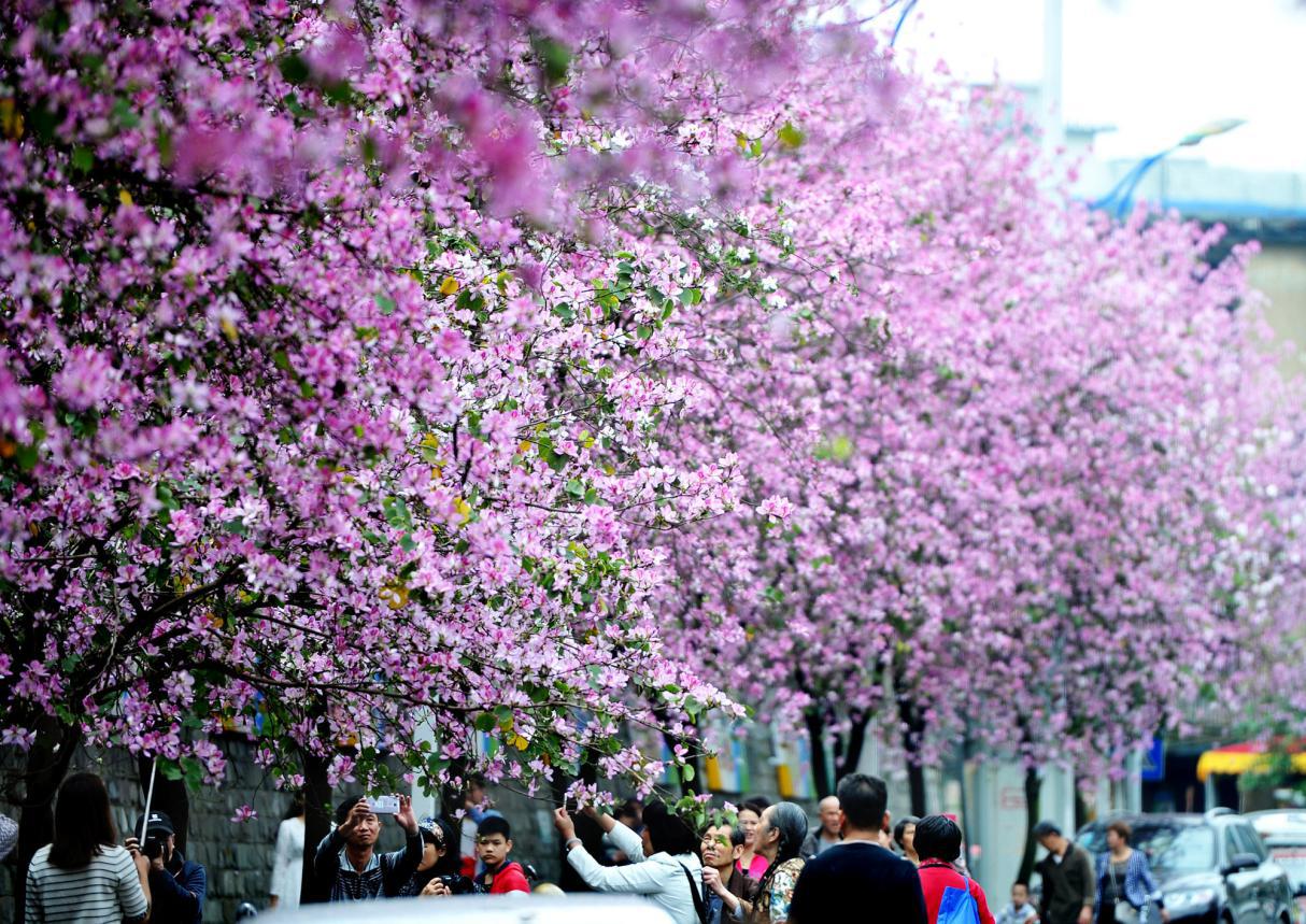 最美人间四月天,盛事齐聚柳州城_CCTV证券资