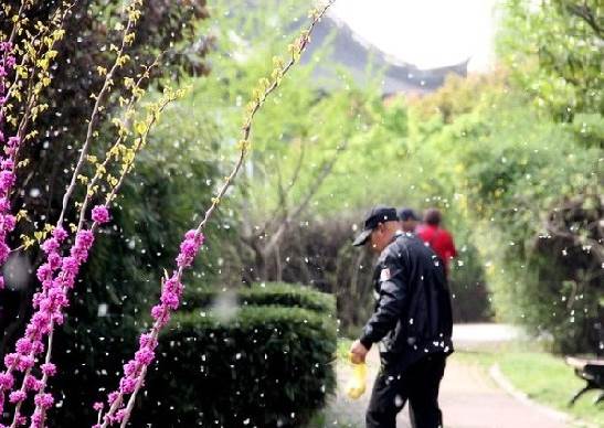 敏感高发季 你需要一盒HHA蜂浆纸保驾护航_C