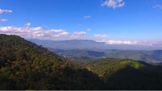 五月出游新套路,来趟奇趣翻倍的茶之旅!_CCT