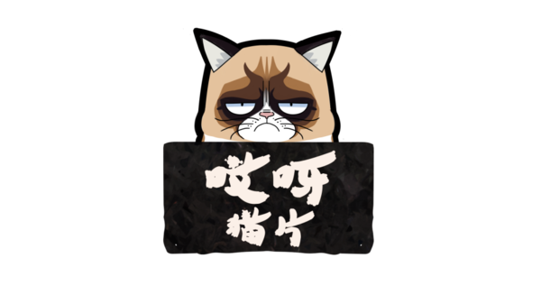 哎呀人口多少_织金县有多少人口