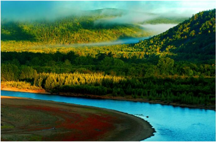 铭玉坊野生蓝莓酒致力于让中国民族品牌傲立