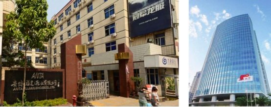 上市十年，安踏进化论