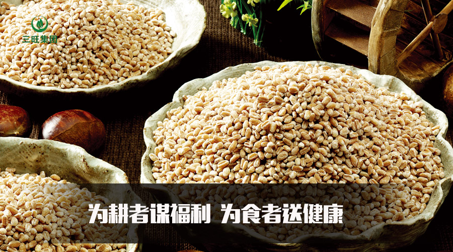 三旺富硒妈妈--提供高端富硒农产品 创造健康真