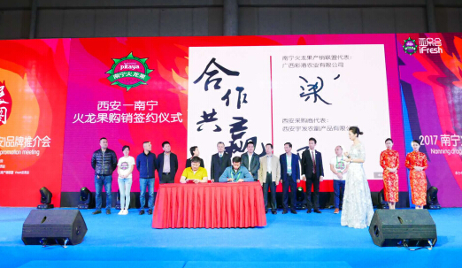 南宁火龙果(西安)品牌推介会完美落幕