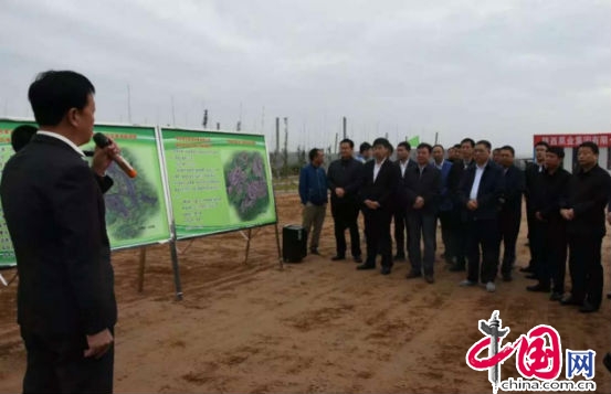 龙头带动作用 扛起精准扶贫责任_CCTV证券资