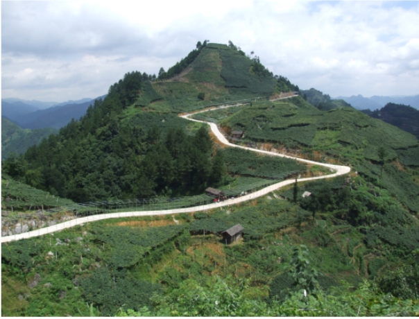 战鼓声声马蹄急--贵州三都水族自治县全力投入