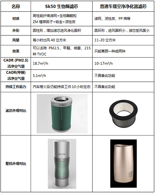施凯西