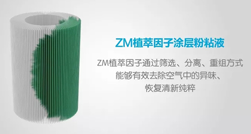 ZM