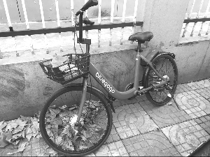 共享单车没牌为什么可以投放 3272-1P110131A2446.png