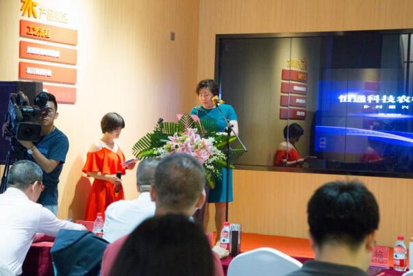 恒通科技全面战略启动,振兴乡村,打造田园小镇