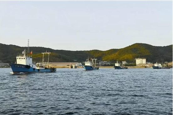 獐子岛采捕日记·活鲜从大海到陆地总共分几步